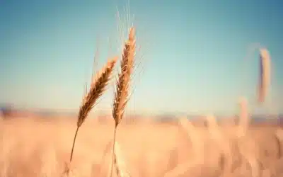 Храни душа, да те слуша